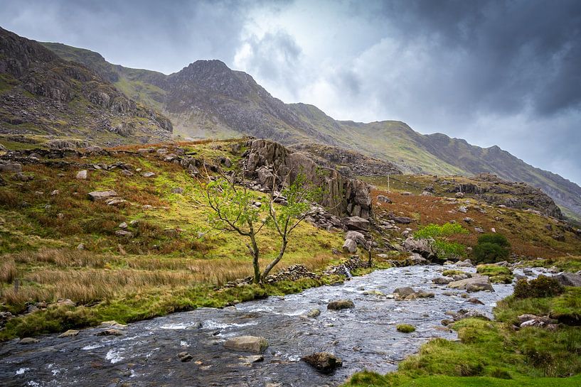 Mountain stream in Wales, Great Britain by Rietje Bulthuis