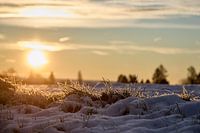 Wintermorgen im Detail