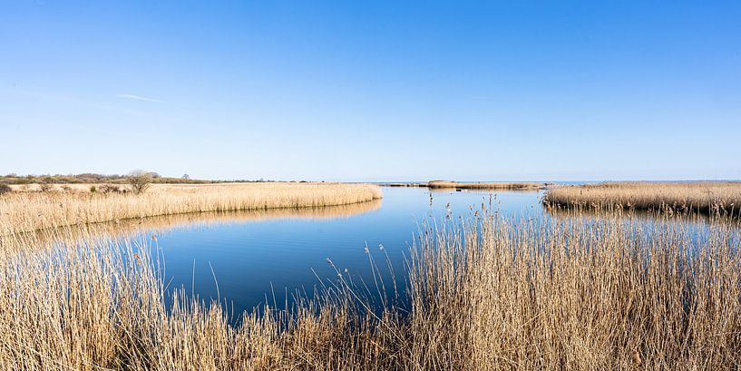 Naturschutzgebiet an der Ostsee von Monika Scheurer