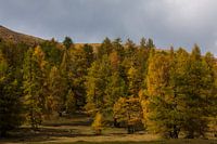 Herfst in de Alpen