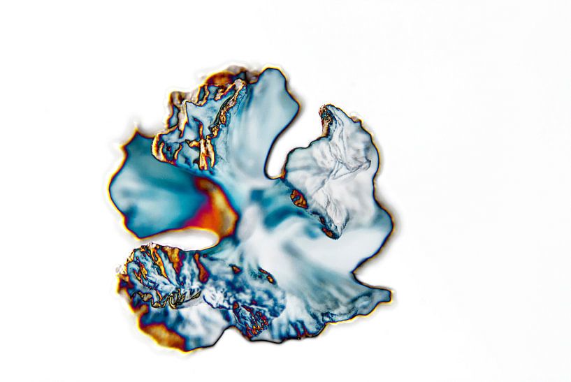 Abstractie van Ding #012 par Peter Baak