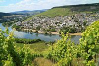 Moselle 