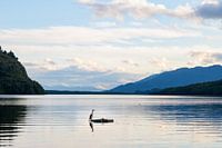 Superb tranquil bay with bird in Puyuhuapi on the carretera austral.
