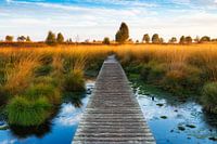 Façons de se détendre XII