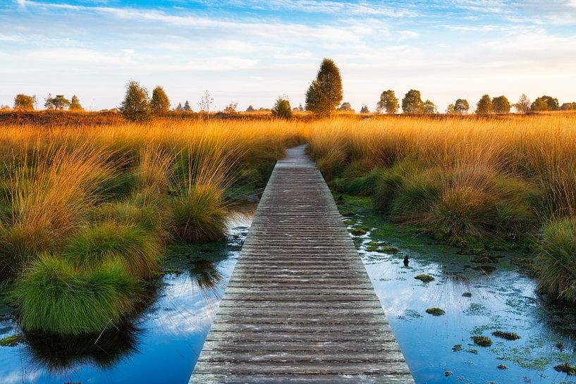 Wege zur Entspannung XII von Daniela Beyer