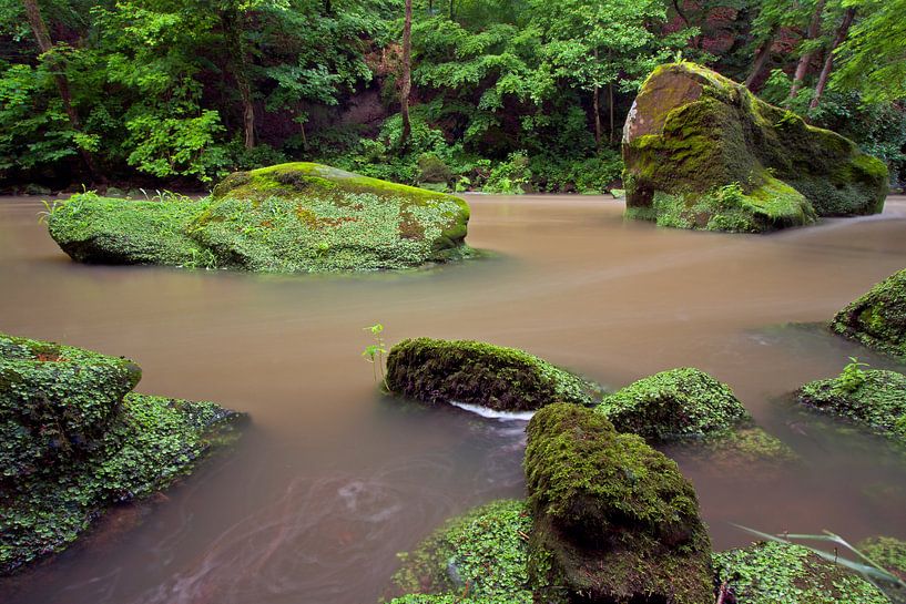 La rivière Irreler dans l'Eifel en Allemagne au printemps. par Rob Christiaans