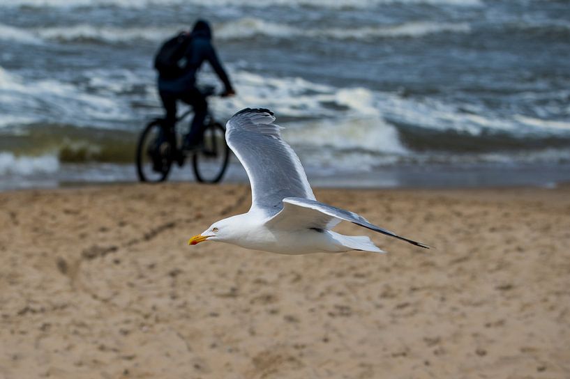 Wind force 7 by John Goossens Photography
