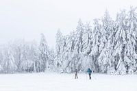 Cross-country skiers High Fens