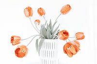 bouquet de tulipes