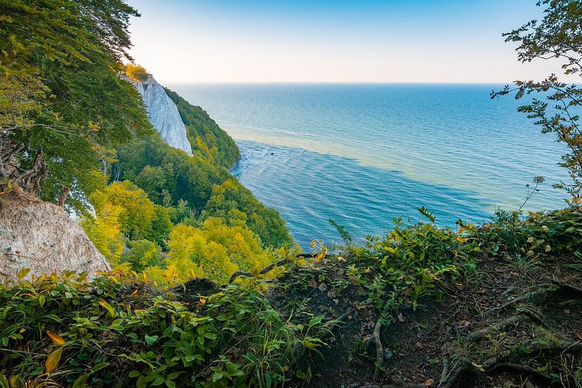 L'été au Königsstuhl par Martin Wasilewski