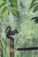 Aquarelle d'un écureuil sur une clôture