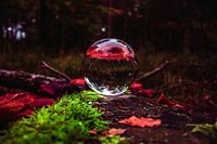 lensball
