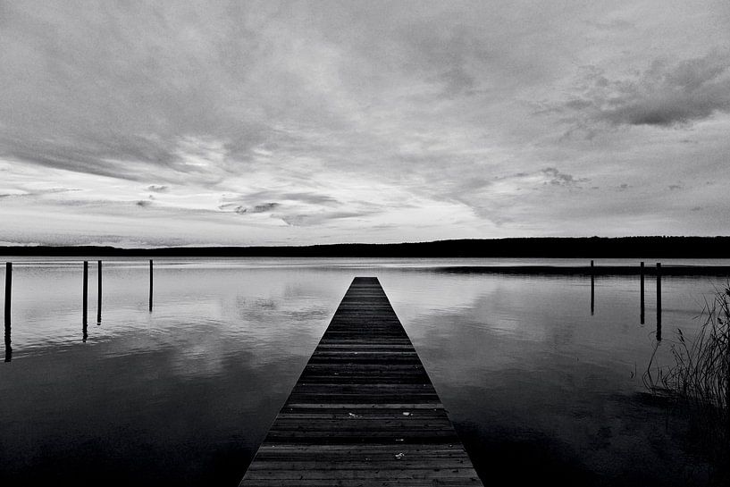 L'infini par Silva Wischeropp