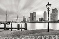 The view from Veerhaven Rotterdam