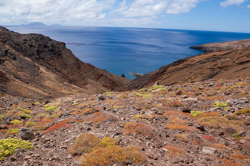 Zwaar hellend begroeid rotsachtig terrein met de zee op de achtergrond van Hans-Heinrich Runge