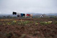 Les vêtements sur la corde à linge