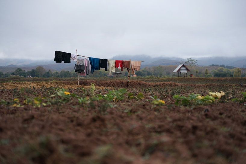 Wäsche auf der Wäscheleine von Floris Verweij