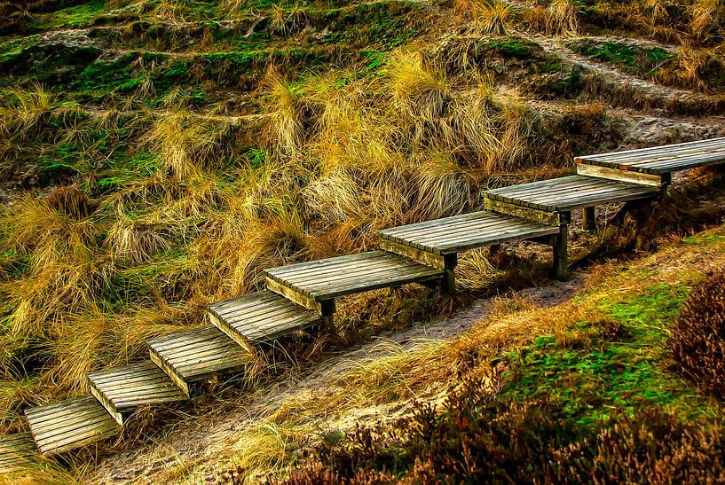 Sylt: Auf dem Holzweg van Norbert Sülzner