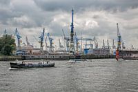 Dock Elbe 17