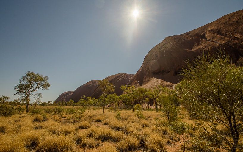 Uluru by Pieter van der Zweep
