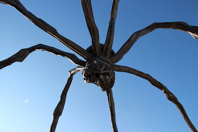 Maman par Matthias Brix