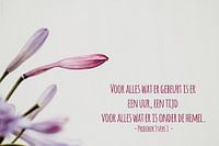 Bible text Ecclesiastes 3 verse 1 nbv