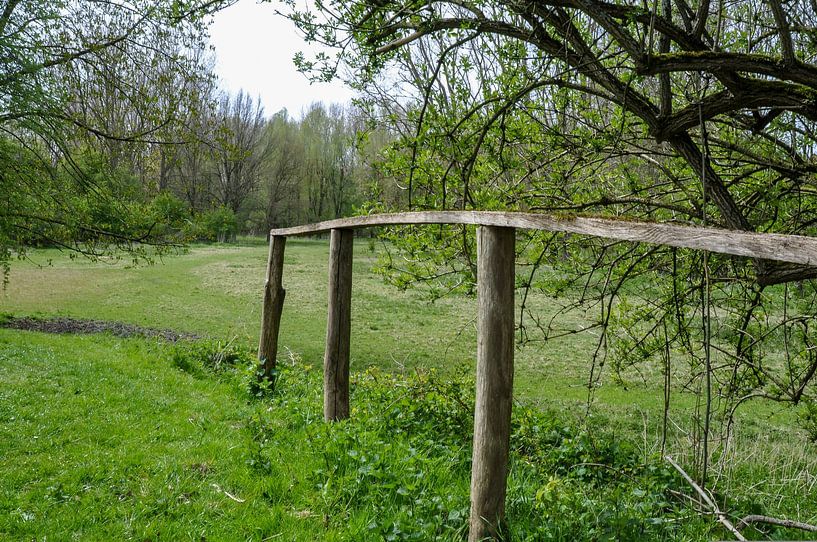 Spaziergang entlang der Wiese von Heleen de Silva