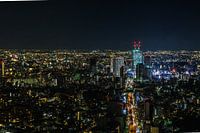 Tokyo citylights 2