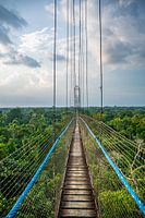 Hängebrücke über dem Amazonaswald, Ecuador