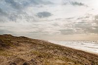 Landscape view of the Noordwijk coast dunes