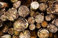 Gestapelte Baumstämme