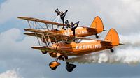 Breitling wingwalkers