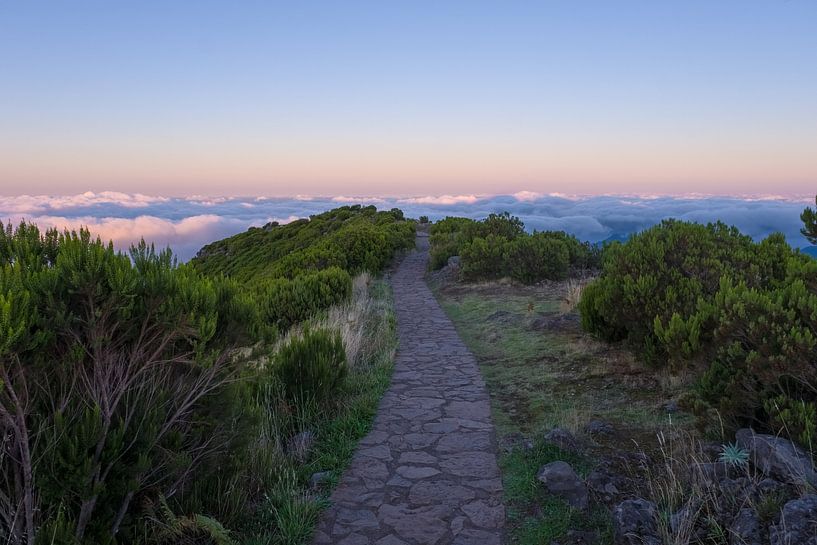Voyage au bout de nulle part par Peter Proksch