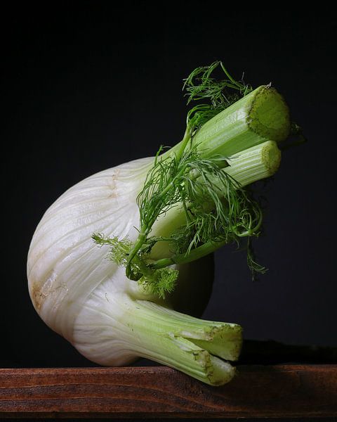 Stilleben Fenchel von Marianne Ottemann - OTTI