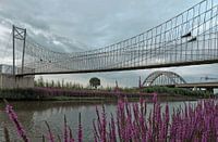 Leckbrücke Vianen mit Hängebrücke