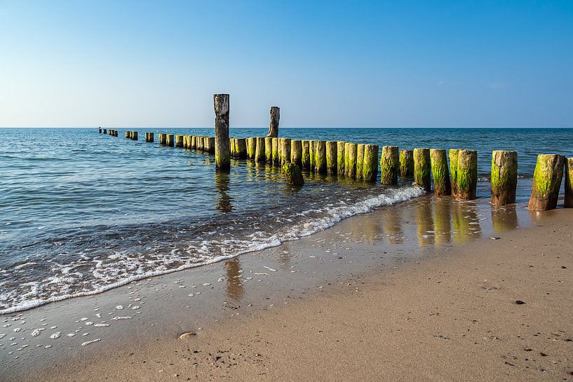 Landscape at the coast of the Baltic Sea in Graal-Müritz by Rico Ködder