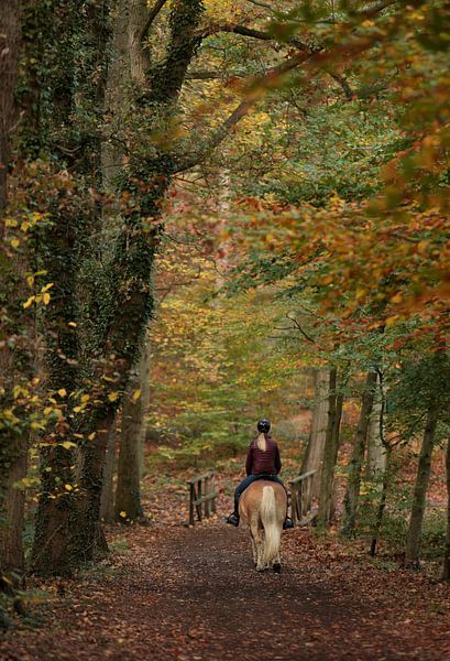 Pferdeschwanz von Frank Smedts