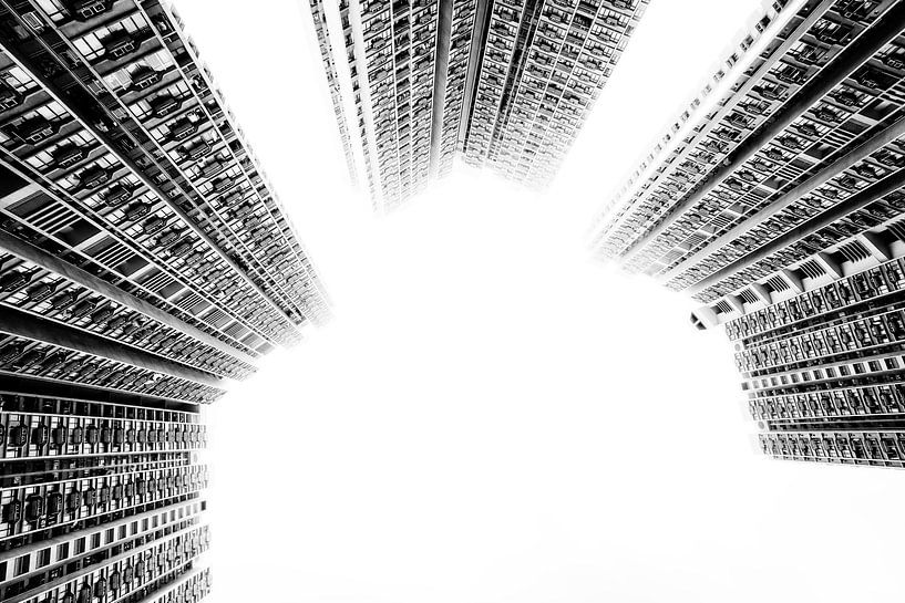 White Rabbit by Cho Tang