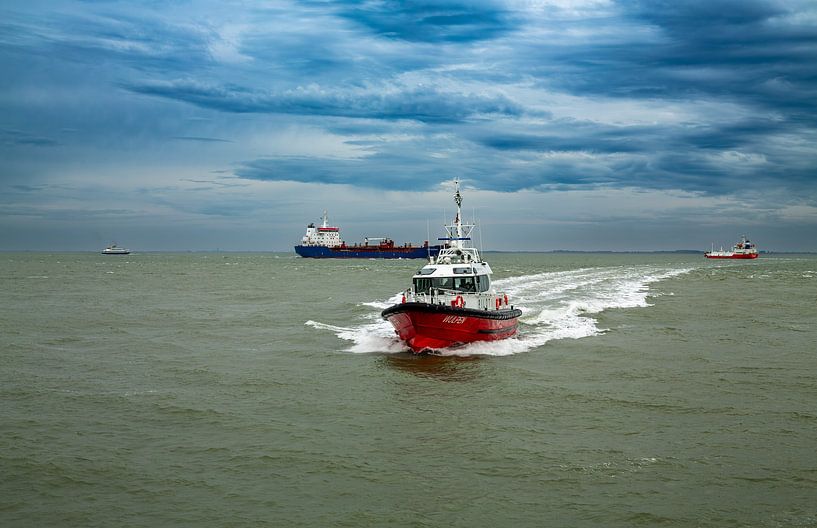 Lotsenboot Wulpen Vlissingen von MSP Canvas