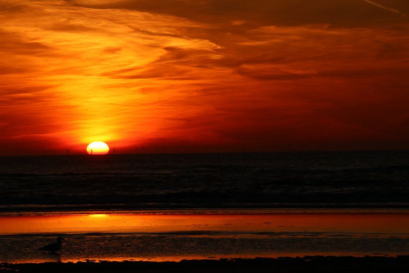 Zandvoort zonsondergang von Veli Aydin