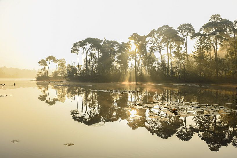 Sunrise at the Voorste Goorven by Miranda Rijnen Fotografie