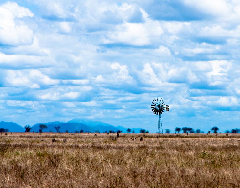 Savanna Windmill by Alex Hiemstra