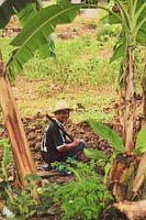 Fermier thaïlandais