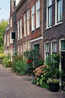 Grachtenhäuser in Leiden mit blühenden Pflanzen
