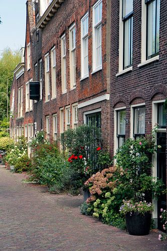 Canal houses in Leiden with flowering plants by Carel van der Lippe