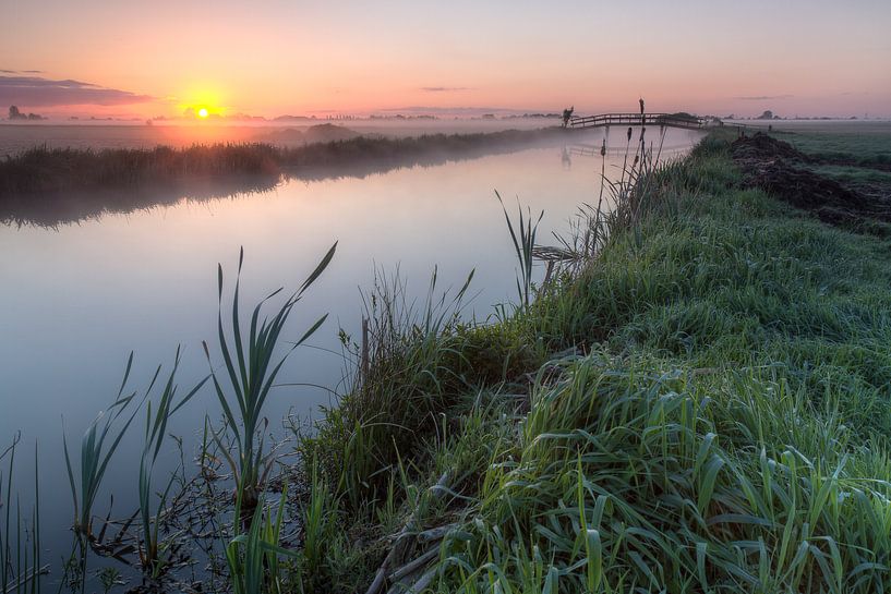 Spectacle glacé par Joep de Groot