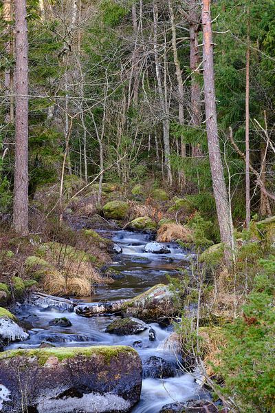 Schwedischer Bach 03 von Geertjan Plooijer