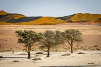 Dodevlei_9, Sesriem, Namibie