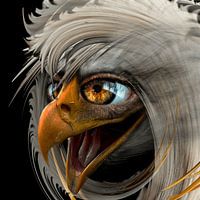 Der Eagle Rocker oder Eagle Rock `n Roller