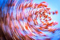 daytrails - abstracte kunst - bomen - zon - rood